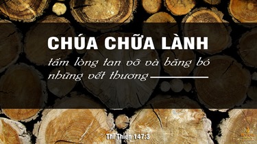 Kinh Thánh Trực Tuyến / #truongkinhthanhtructuyen.org